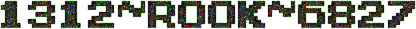 1312.ROOK.6827